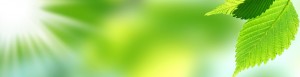 Love God Love Life Spring Banner